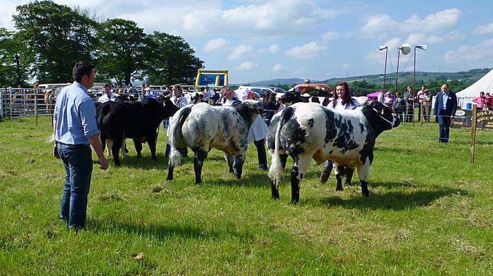 Lesmahagow Show 2014