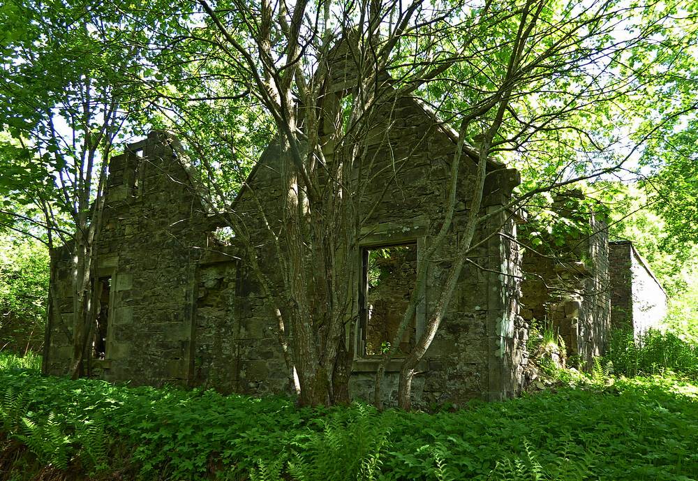 Monkstable - derelict gardener's cottage