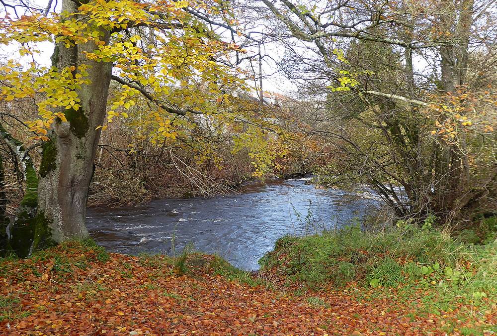The river Nethan near Craighead Park.
