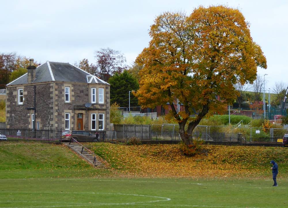Tree at end of playing field.