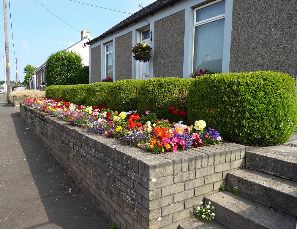 Colourful front garden in Carlisle Road, Blackwood - next to Doctor's Surgery