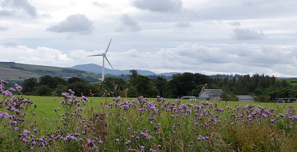 View from Vere Road towards Nether Birkwood Farm