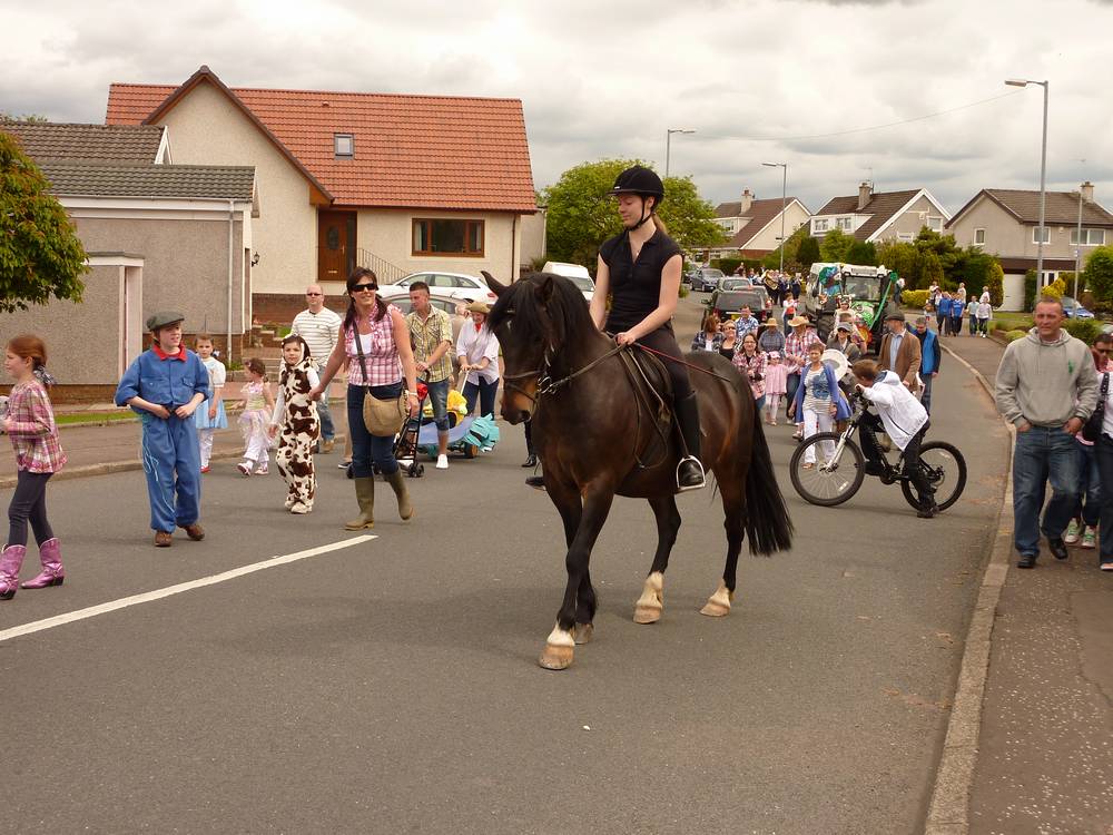 Another horse in the procession in Heathfield Drive