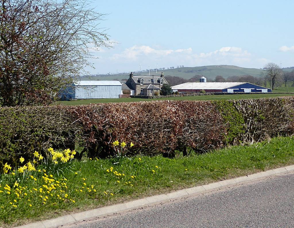 Townhead Farm, Boghead