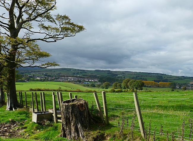 View from Devonburn