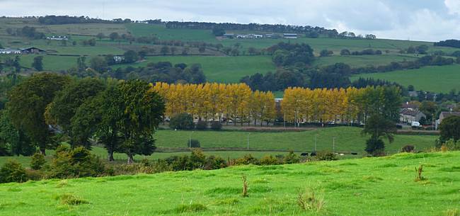 View from Devonburn