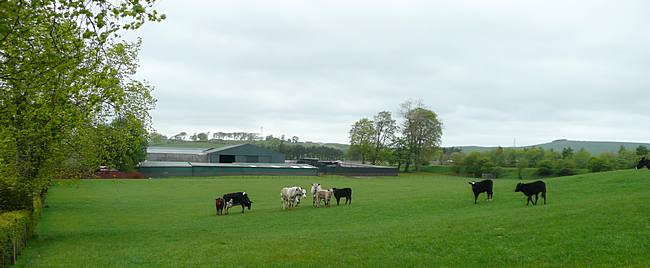 Auchren Farm, Devonburn