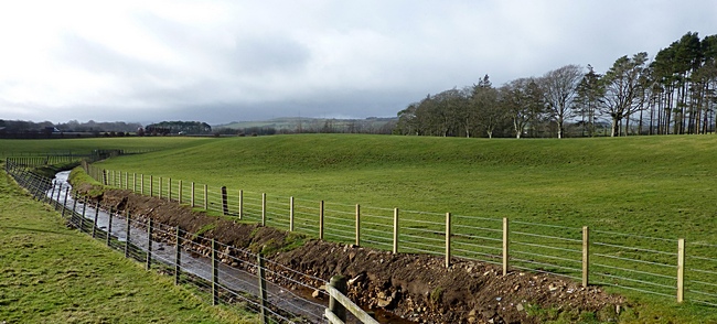 The Devon burn at Devonburn