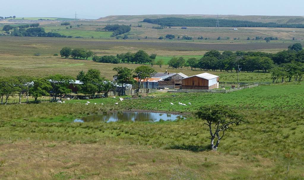 Merchanthall Farm from Bellfield Bing. July 2014.