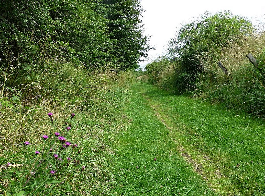 Path along former railway track from end of School Road to Coalburn Brig. Aug 2014