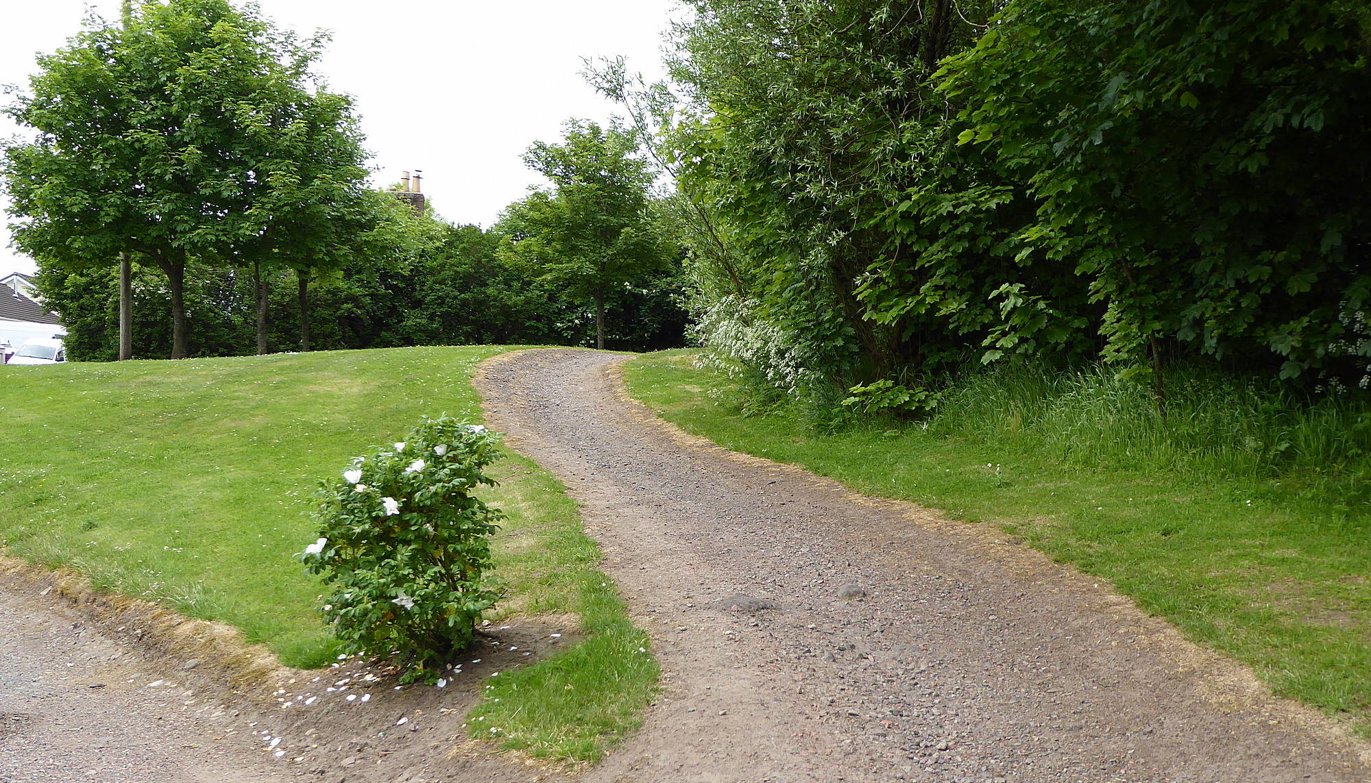 Path from Railway Road to Braehead Road (This was formerly a bogie line carrying coal). 8th June 2018