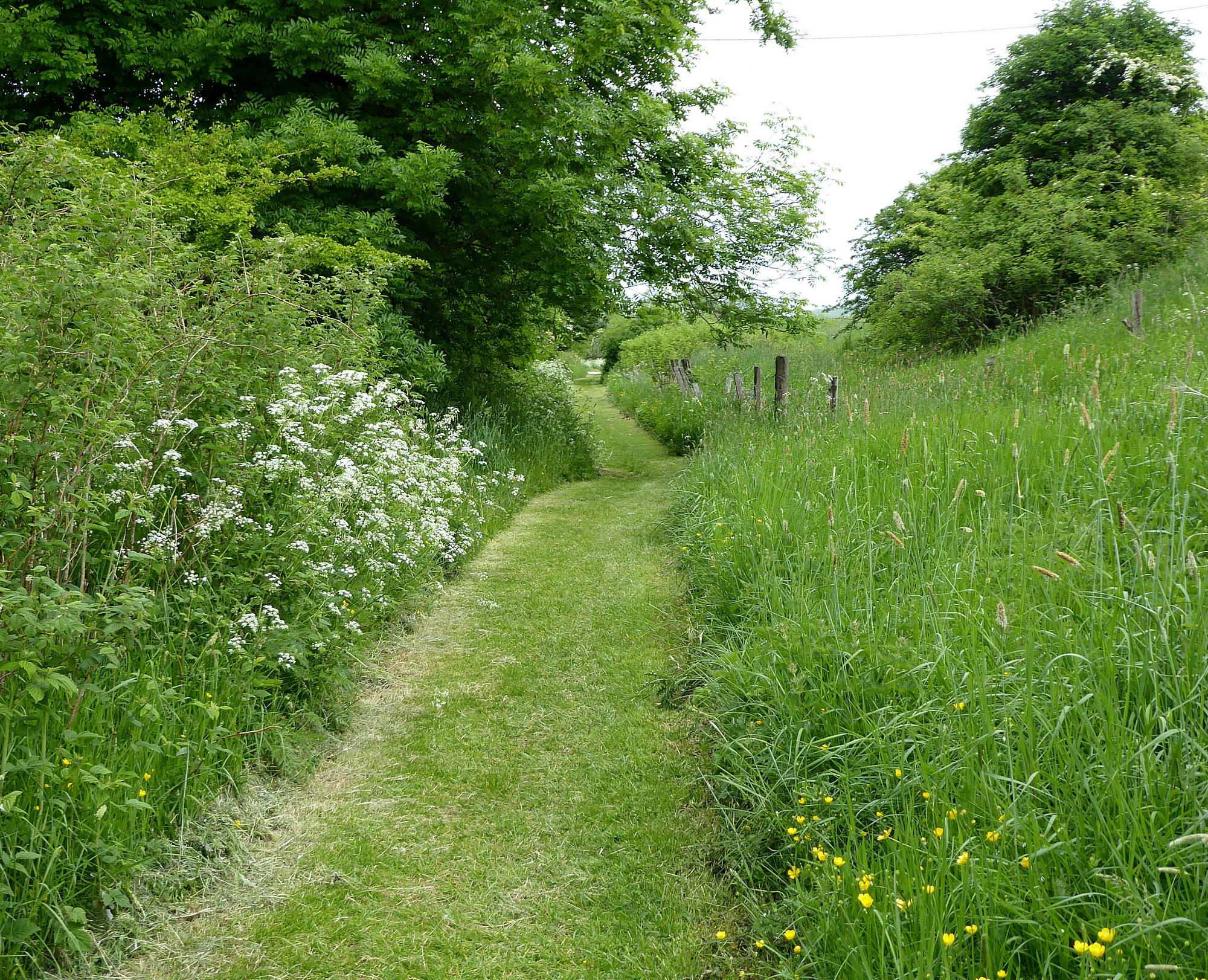 Return by old railway path (Well manicured!). 8th June 2018