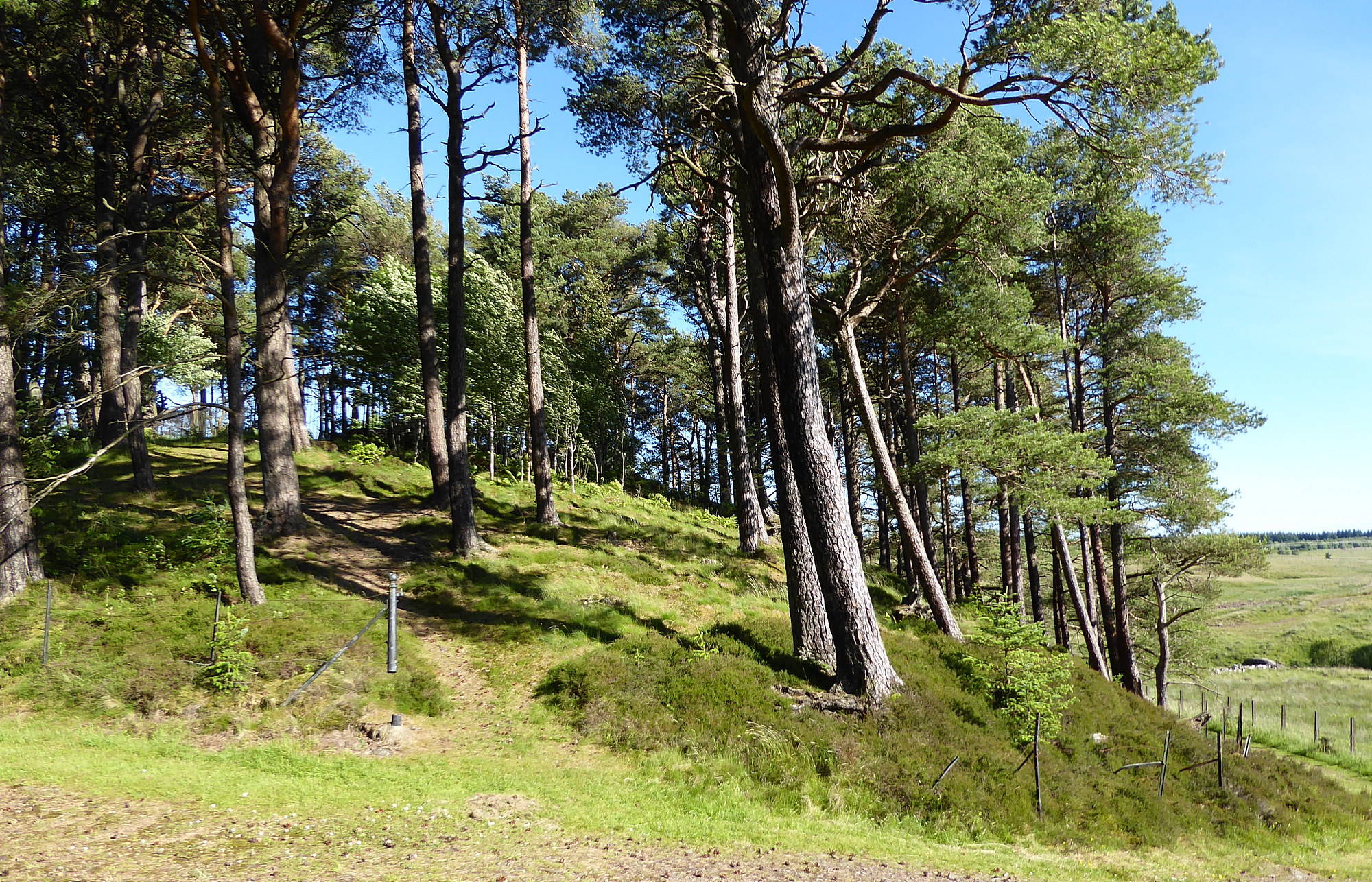 TFrom Westoun in Coalburn there is a path down to the Poniel Water. Down this path, a small wooded hill (shown here) has at its top, a private cemetery for members of the Greenshields family who were based at Westoun House. Date 24th June 2018