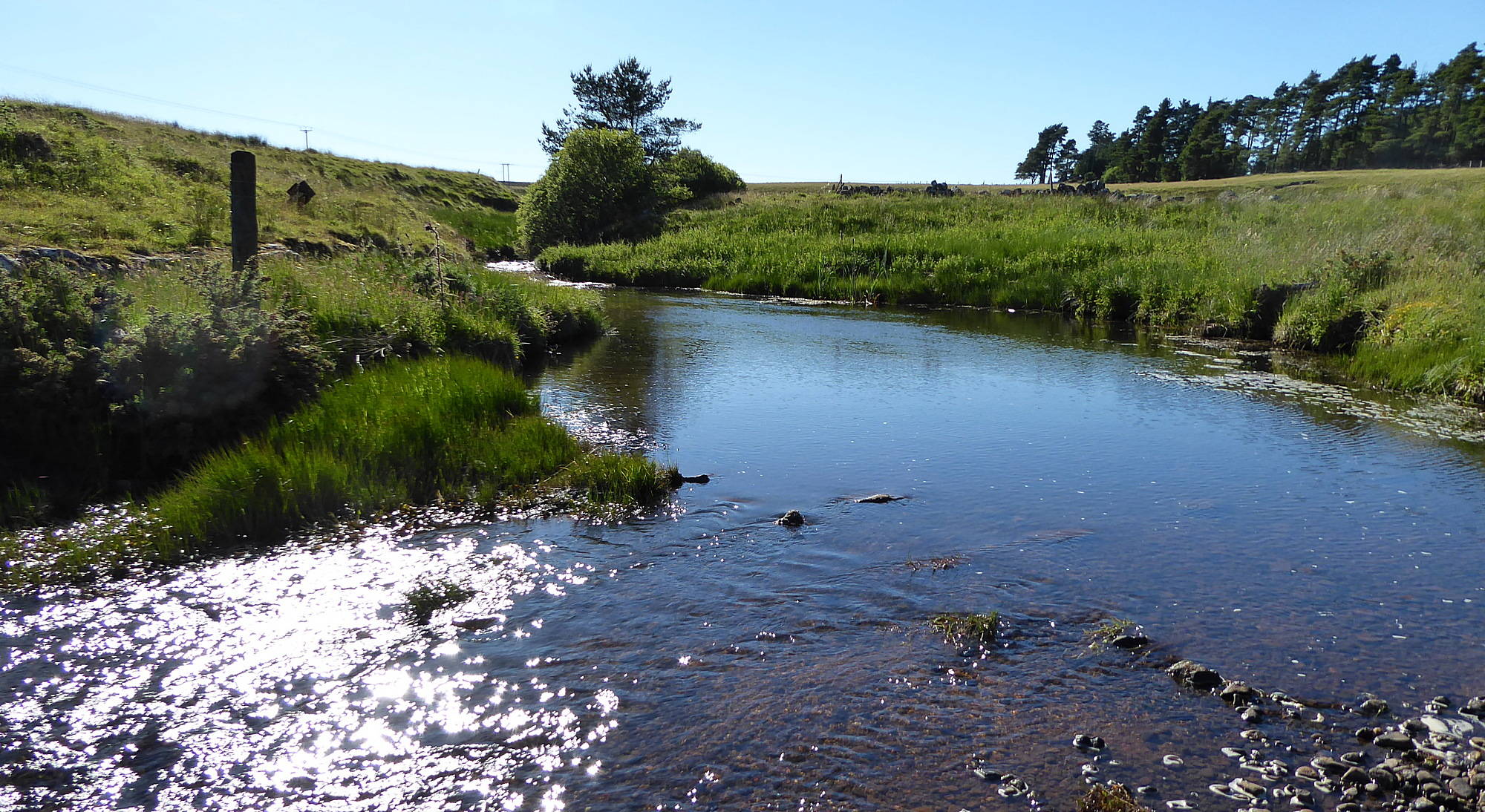 Poniel Water Date 24th June 2018