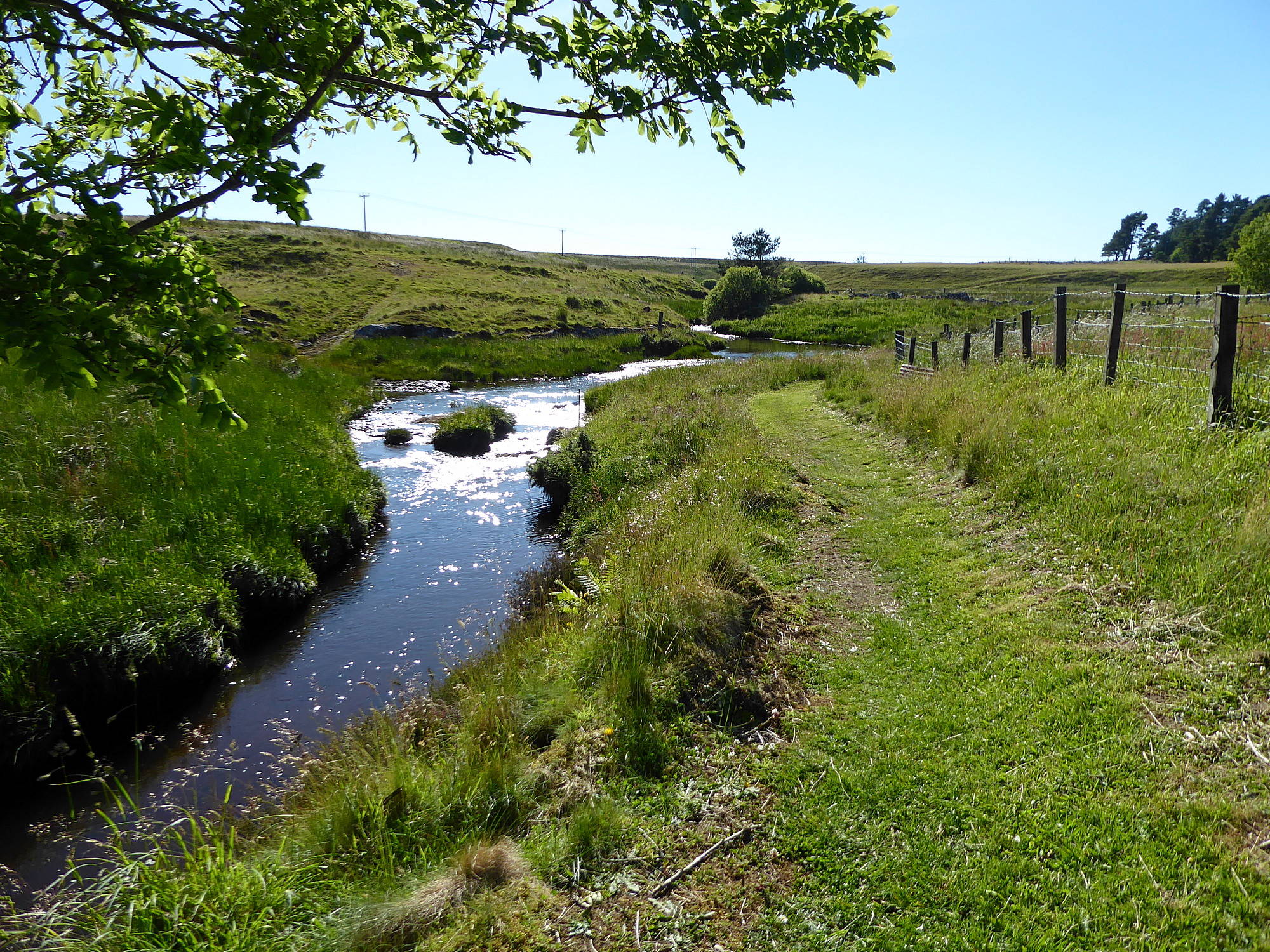 Poniel Water Date 24th June 2018