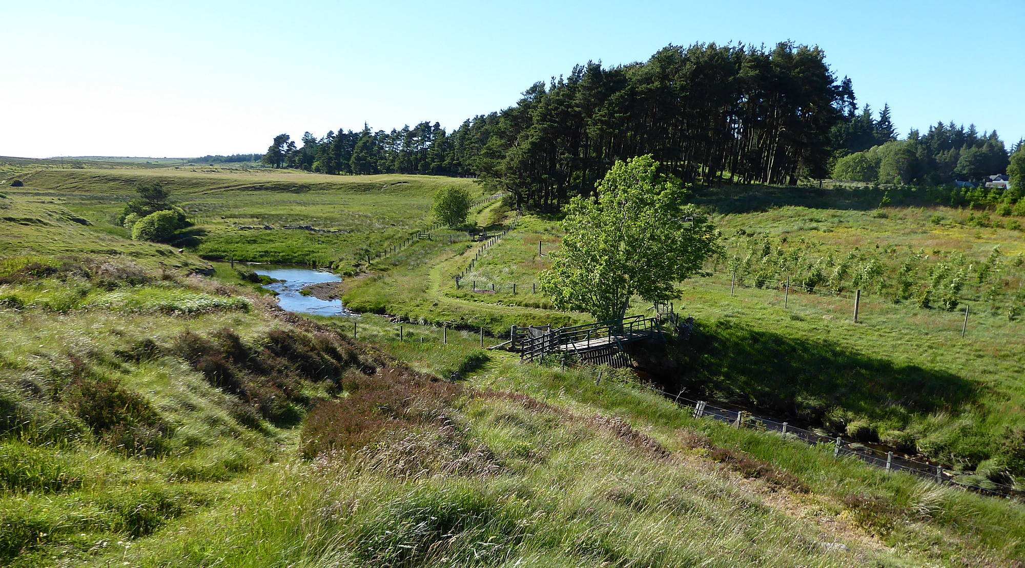 Bridge over Poniel Water Date 24th June 2018