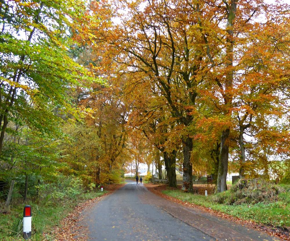 Road between Hollandbush Golf Course and Auchlochan