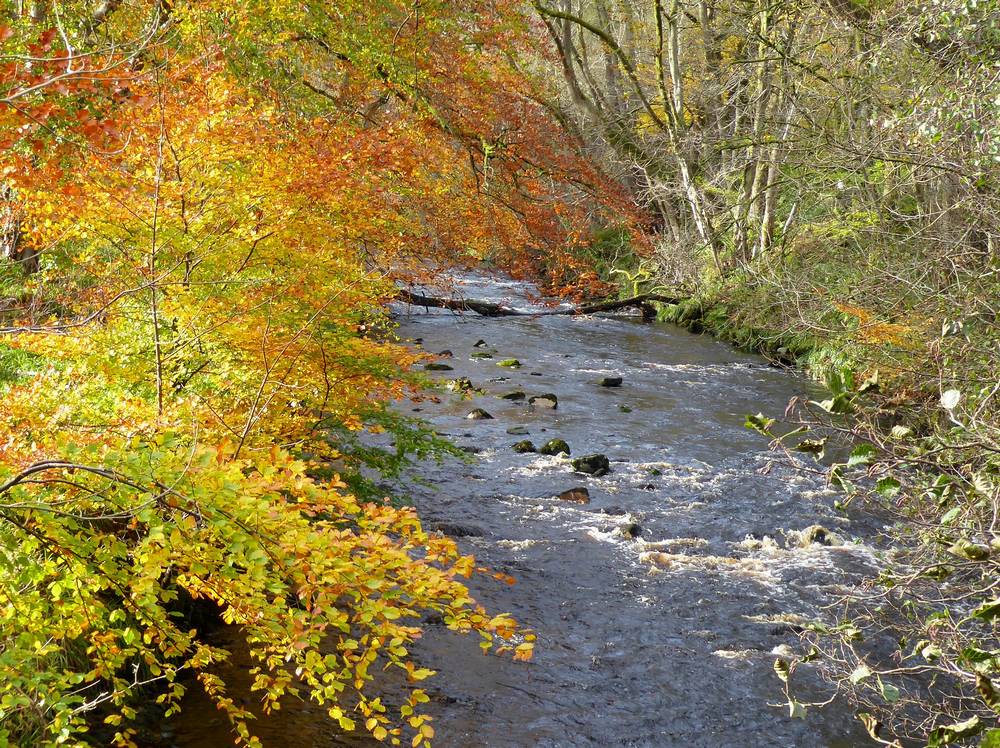 River Nethan near Watermeetings. Photo taken from footbridge over river.