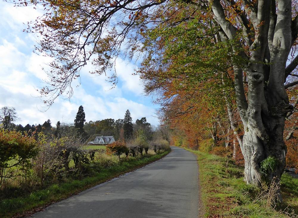 Road next to Nethan at Watermeetings. The house is Lodge Stockbriggs. 17th March 2019