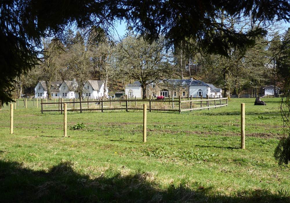 View of the development through the trees by the Nethan