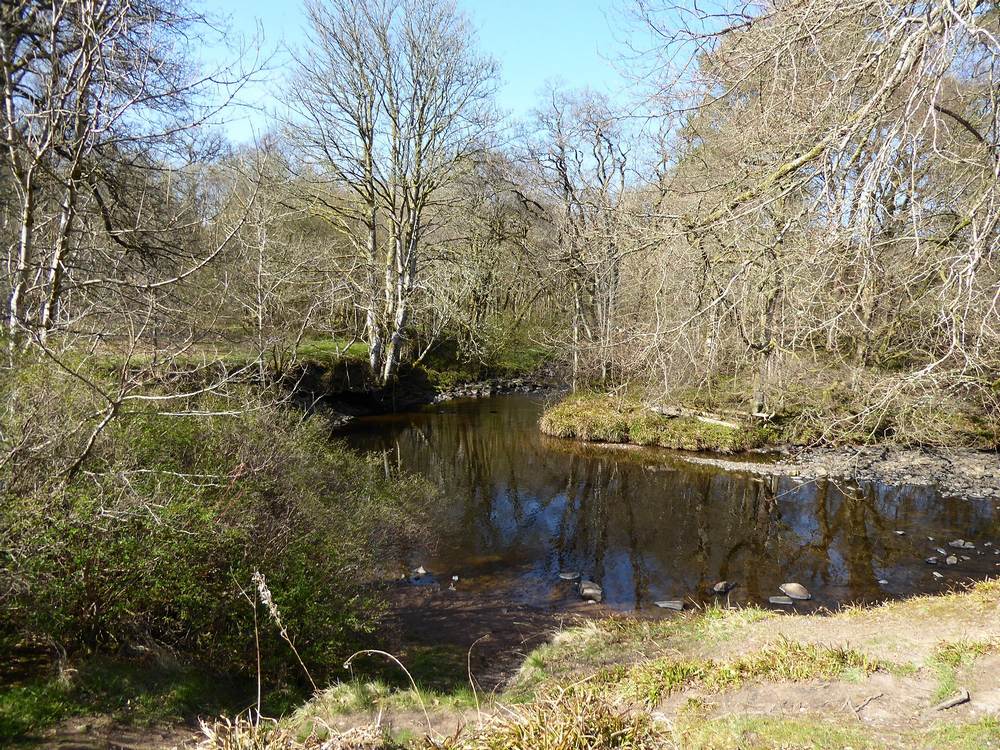 Water Meetings where the Logan Water meets the Hethan