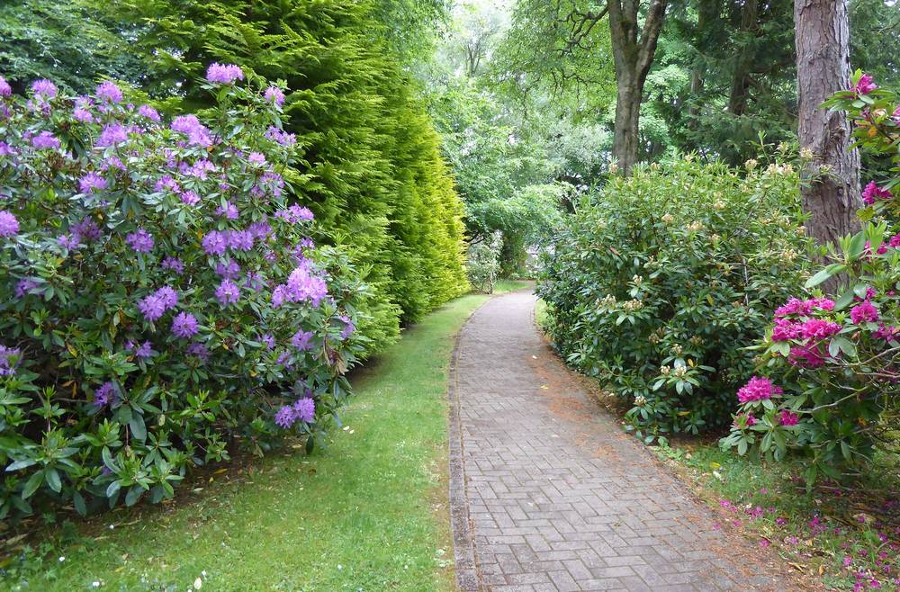 Path outside Auchlochan Walled Garden