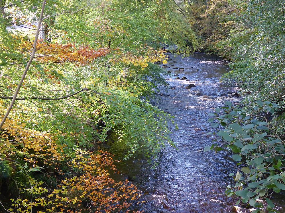 River Nethan from pedestrian footbridge