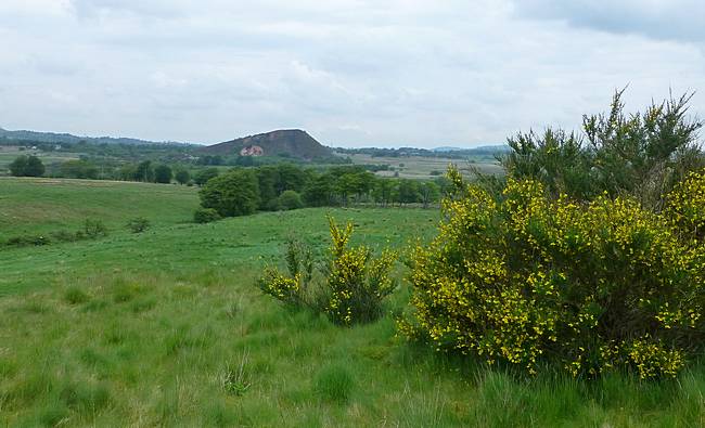 Coalburn Bing