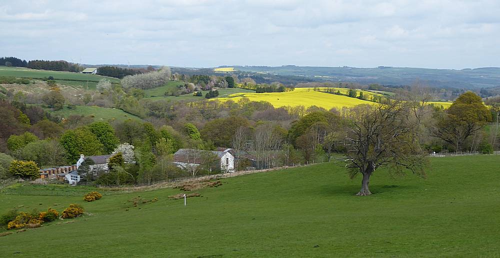 Derwent Valley, Northumberland