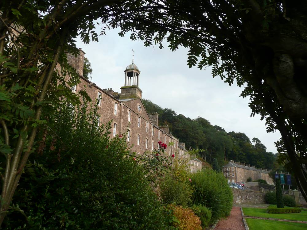 Bell tower seen through the Rose Garden