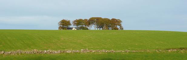 Near Loudoun. South Ayrshire