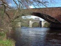 Bridges over Clyde