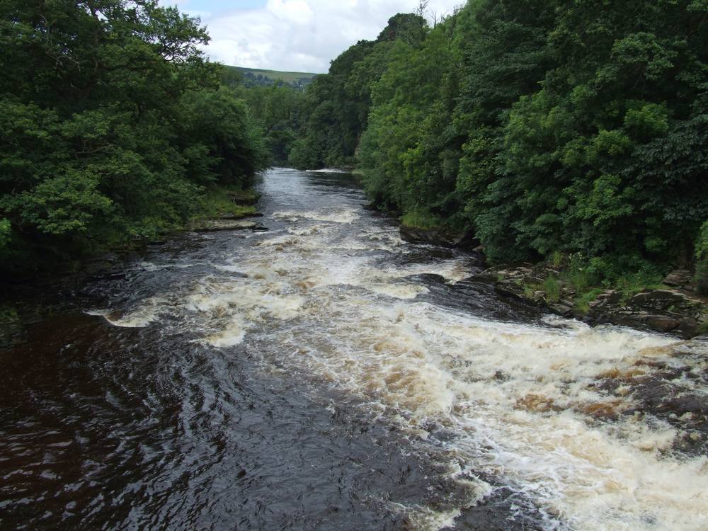 Part of Stonebyres Linn- photo taken from weir gates