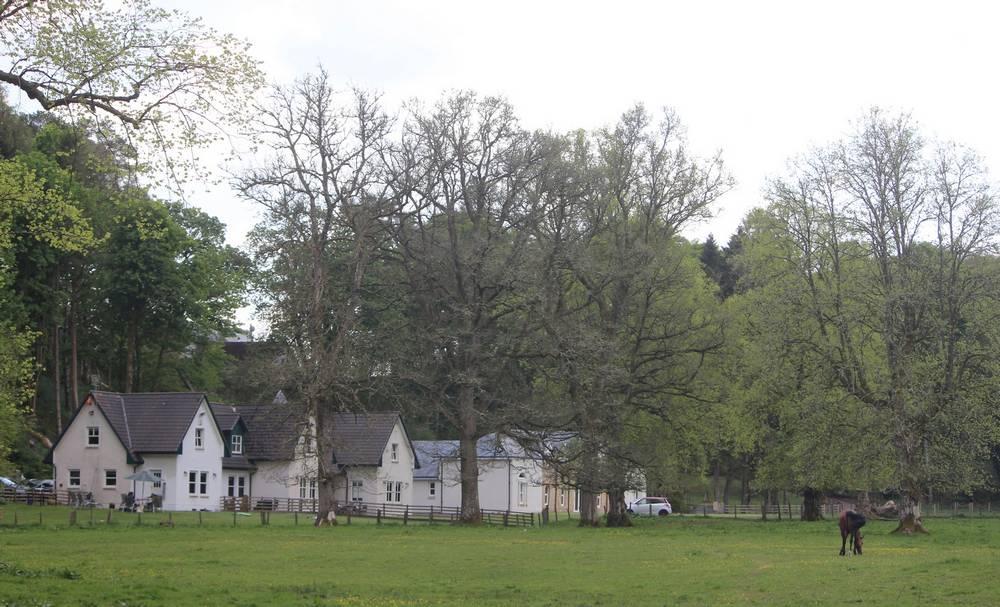 The row of cottages at Stockbriggs