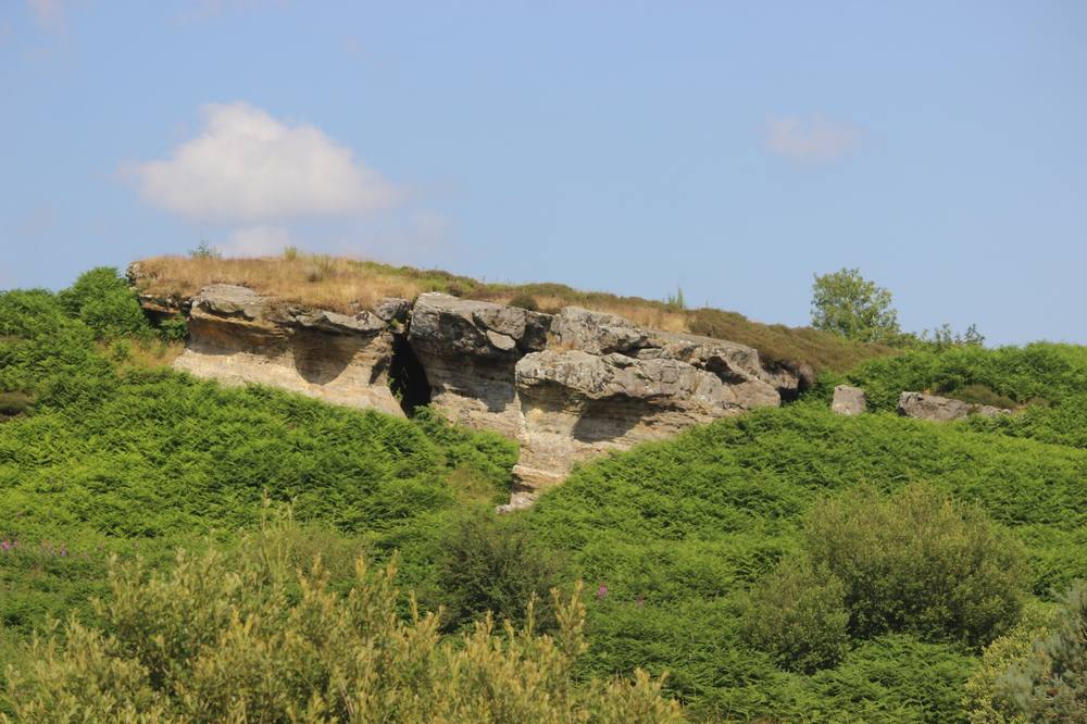 Wallace's Cave