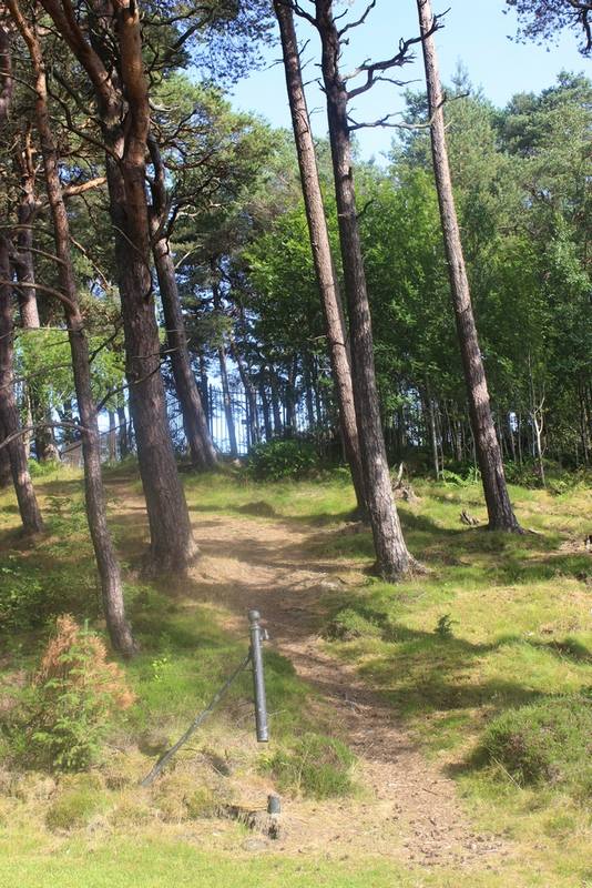 Path to hilltop with Greenshields Cemetery at top