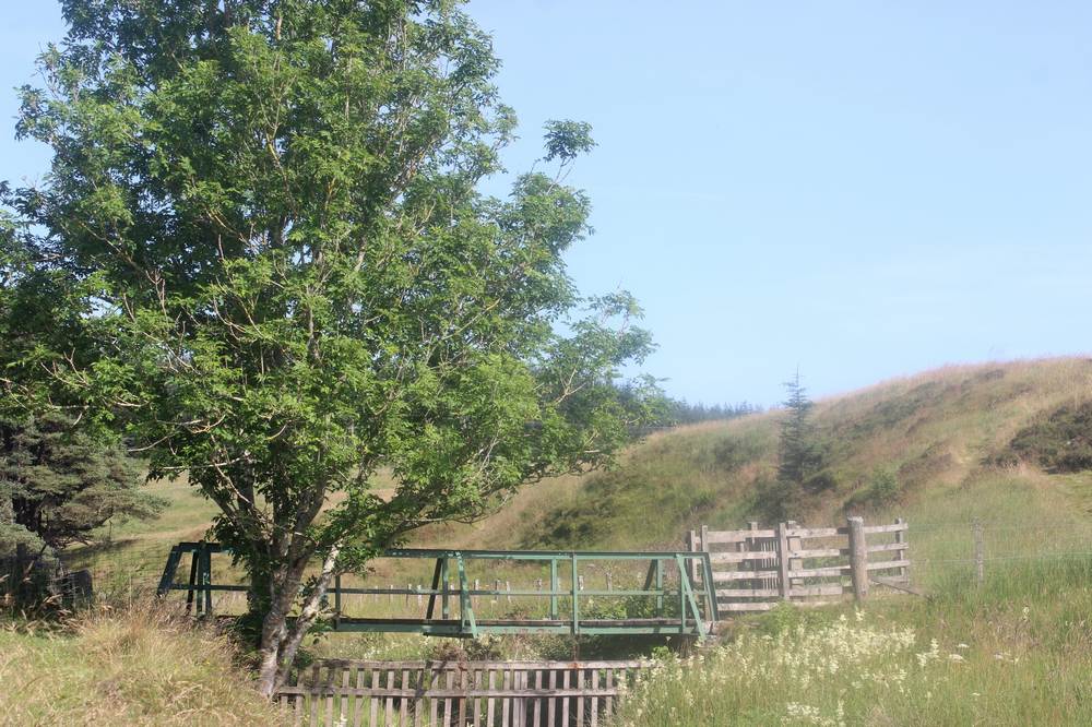 Footbridge over Poniel Water at Westoun