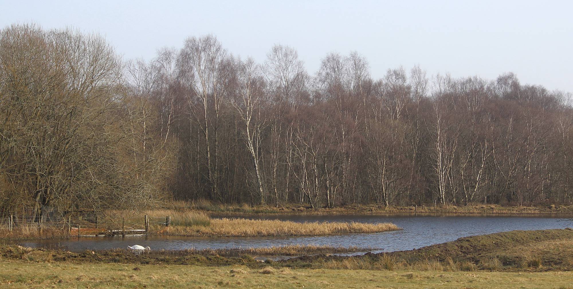 Pond behind Porterhall Cottage