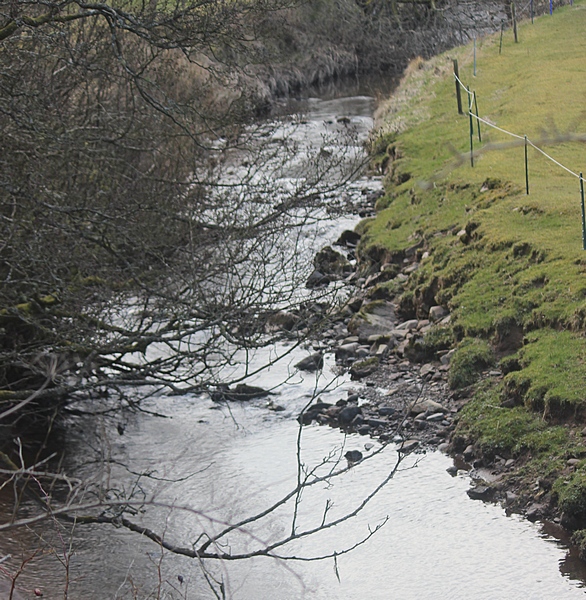 River Nethan