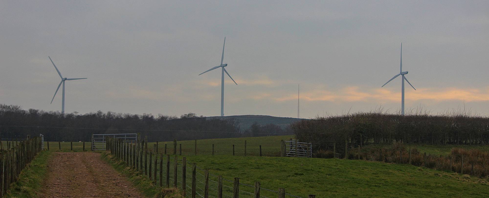 Wind Farm