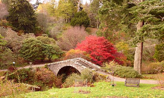 Dawyck Botanical Gardens