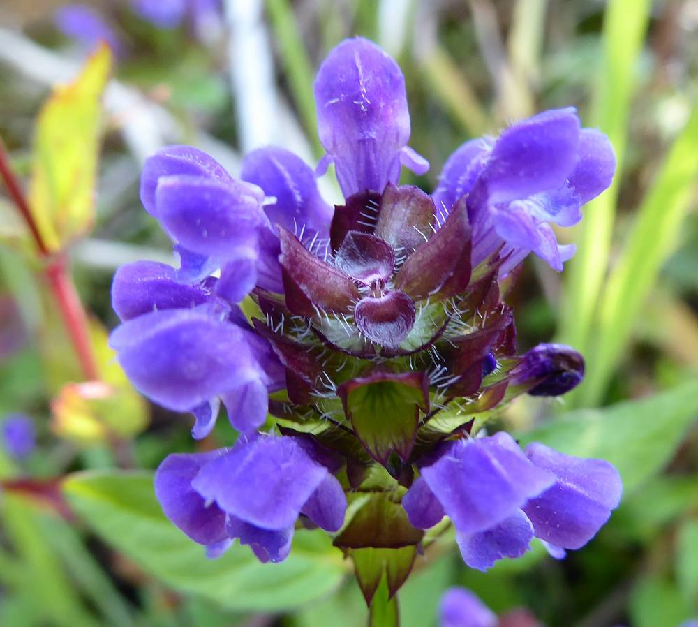 Self-heal