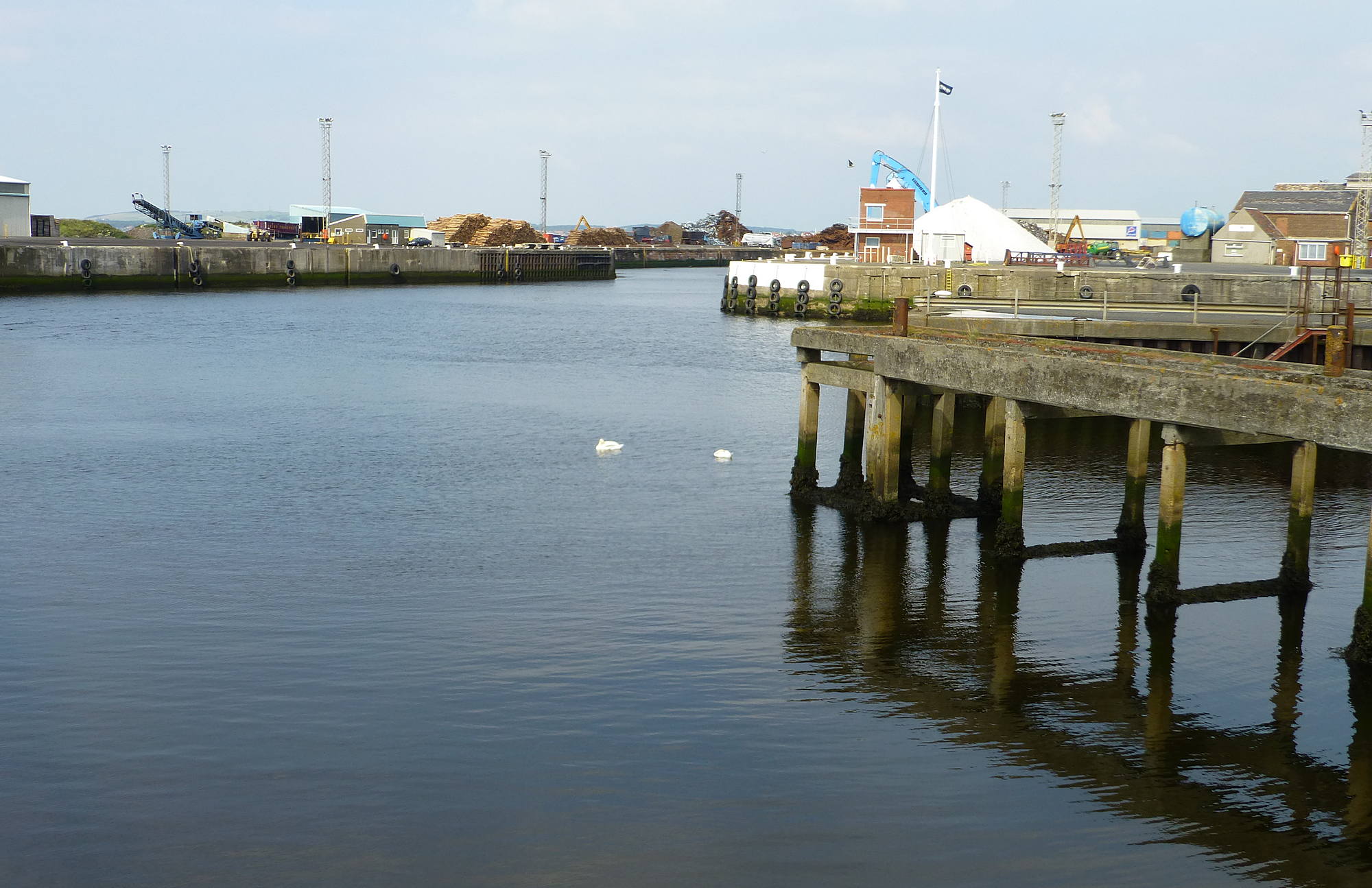 Ayr Docks