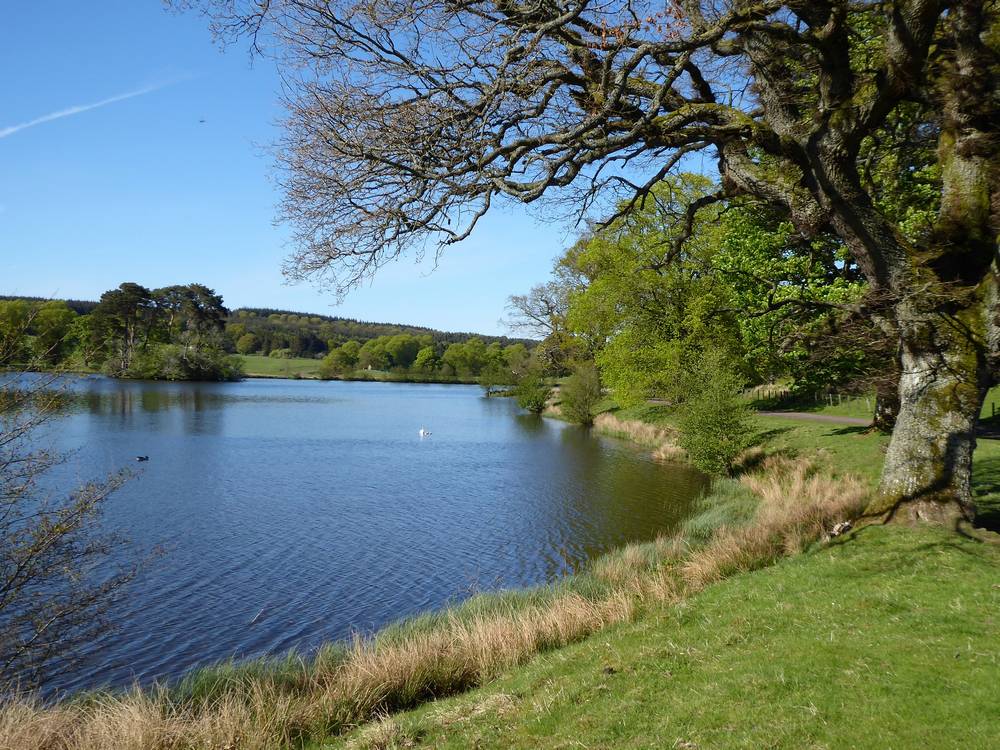 Stable Lake, Douglas Estate