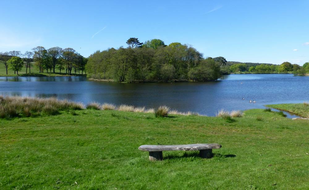 Stable Lake, Douglas Estate