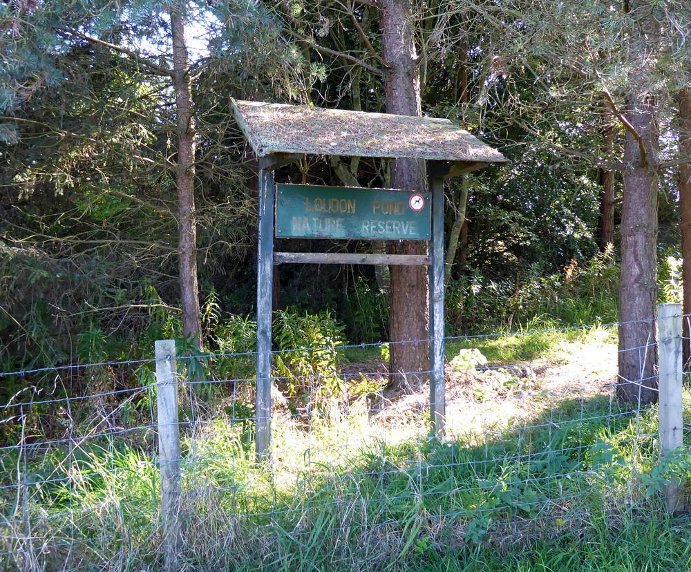 Loudon Pond Nature Reserve.