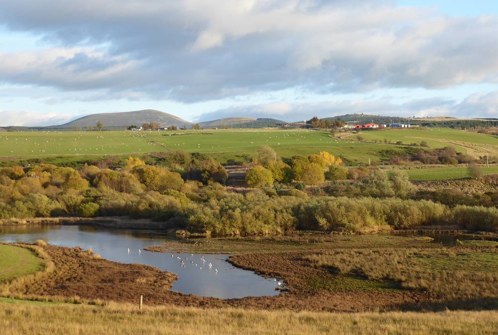 Douglas Water and Loudon Pond Nature Reserve.