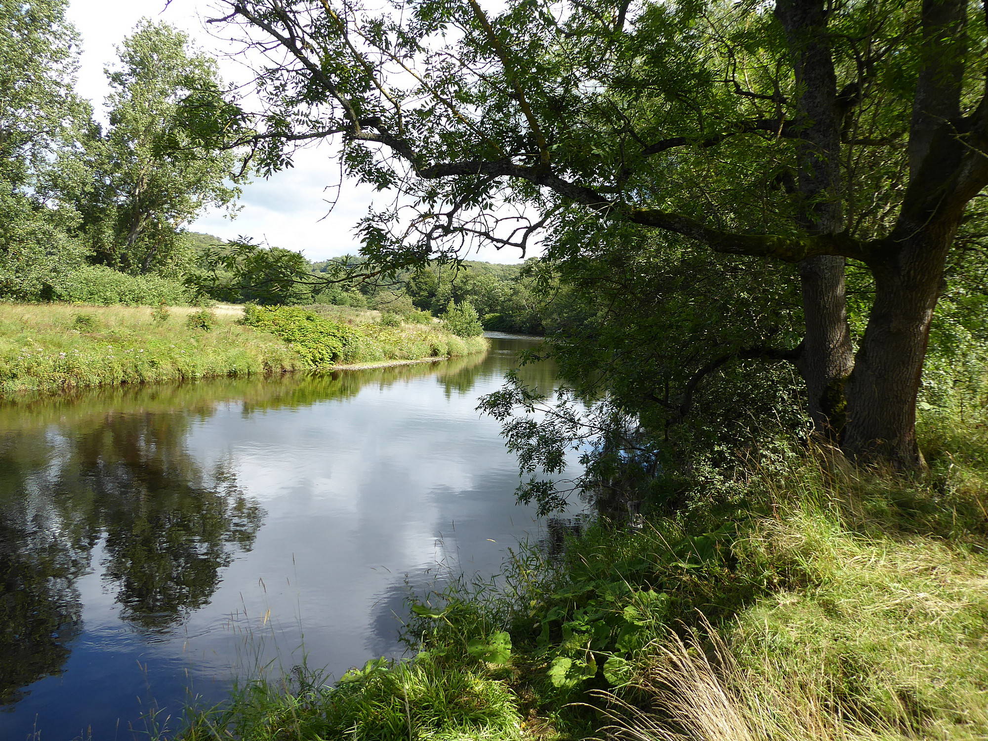 River Clyde at the back of the Popinjay Hotel, Rosebank