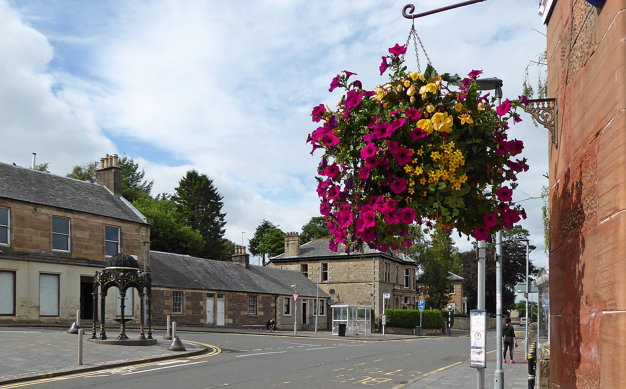 Floral display near the Fountain