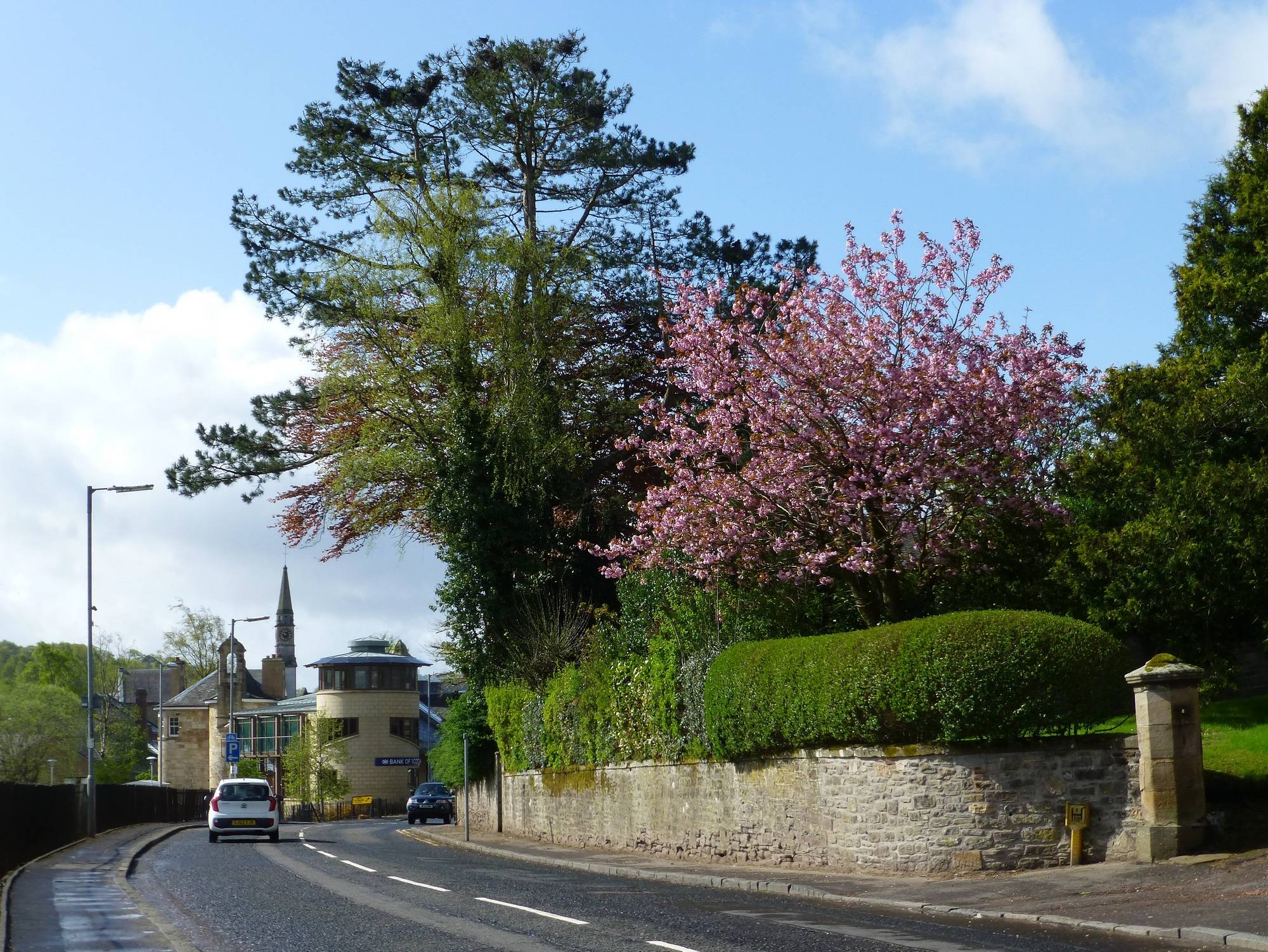 Abbeygreen in spring blossom
